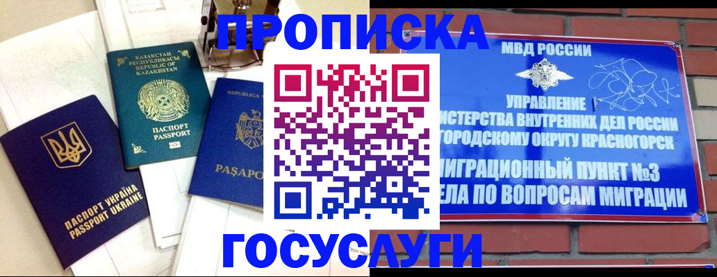 купить прописку в Чкаловске